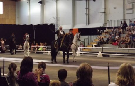 Equestrian show